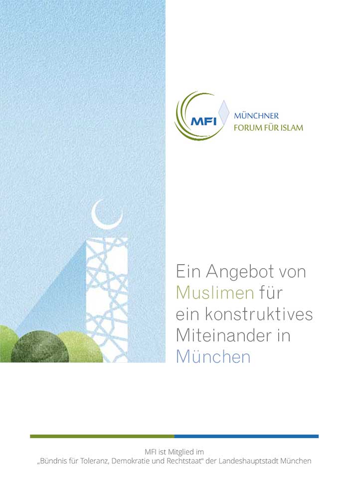 Broschüre Projekt MFI